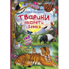 Книжка з віконцями 