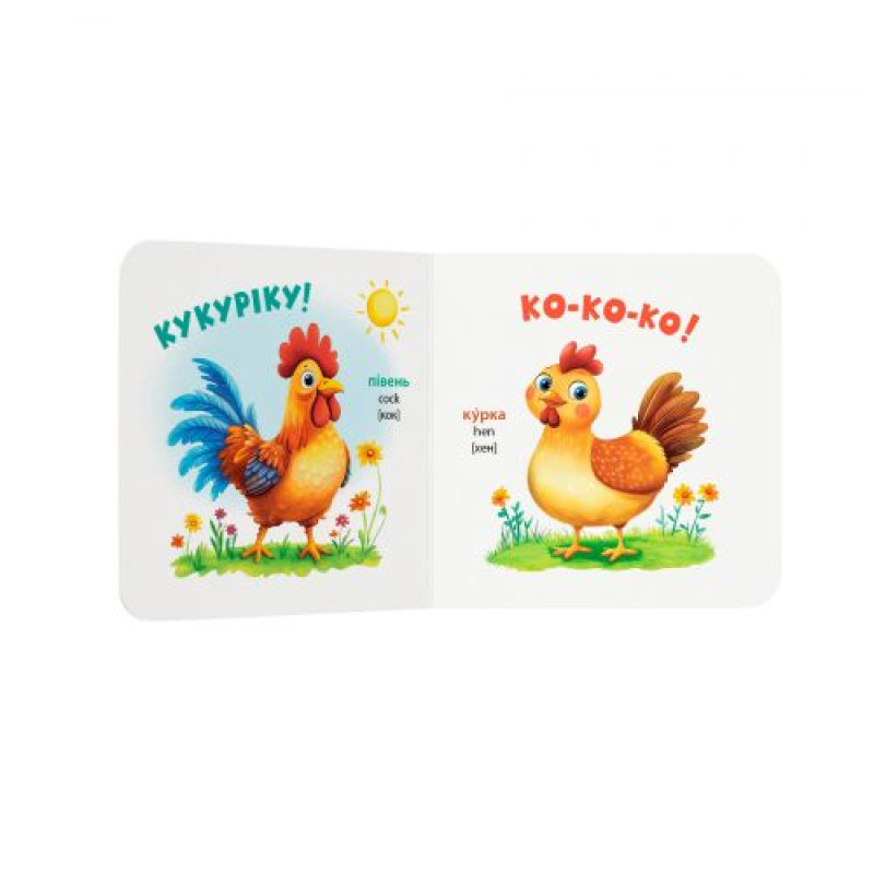 Книга 