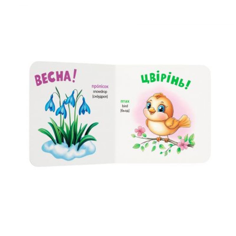 Книга 