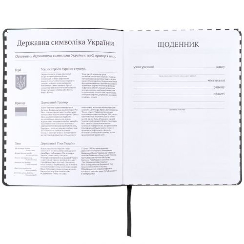 Щоденник шкільний, тверда обкл. PU, AR