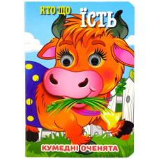 Книжка 