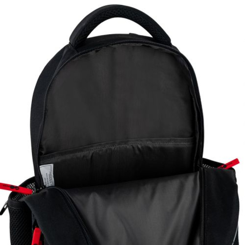 Рюкзак GoPack Education 182M Born To Win