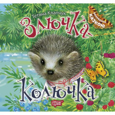 Книжка: 
