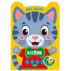 Книжка: 