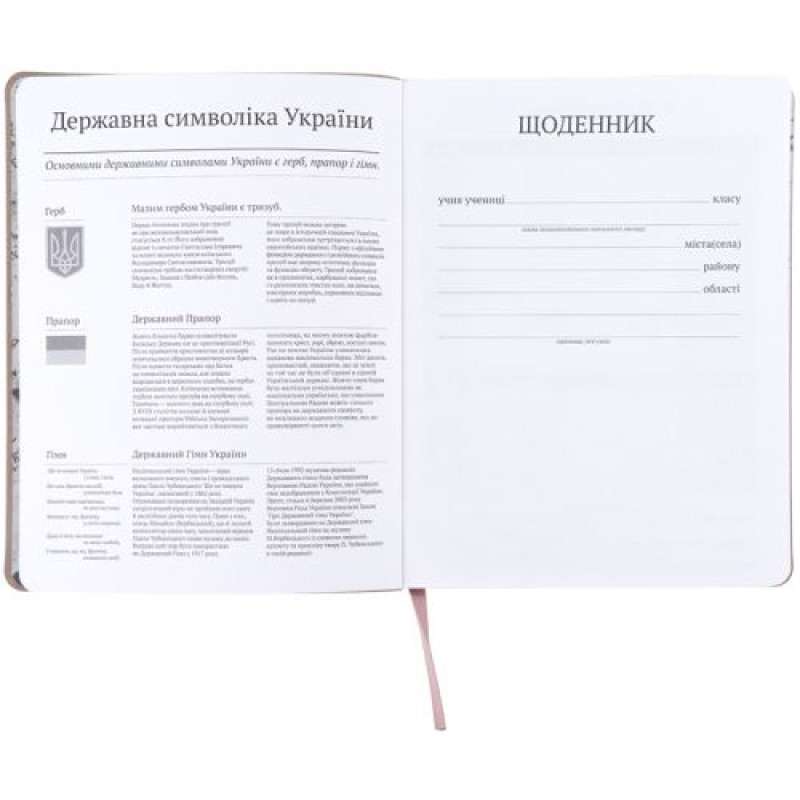Щоденник шкільний, м'яка обкл. PU, HP