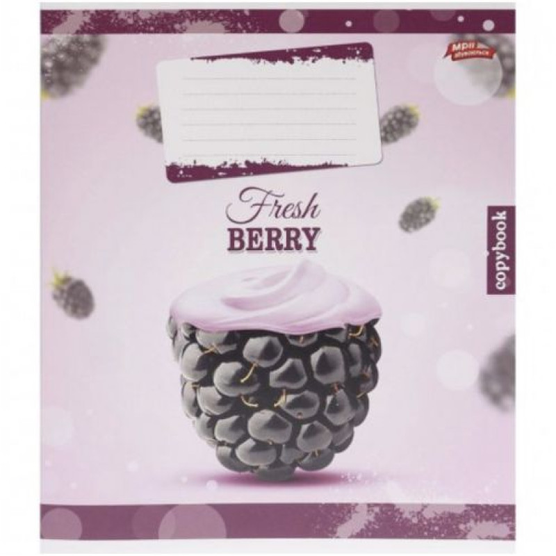 Зошит 24 листки, клітинка 