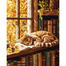 Картина за номерами - Кіт та книга ©art_selena_ua