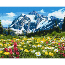 Картина за номерами - Квіткове поле серед гір ©art_selena_ua