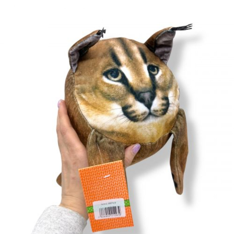 Котя 2