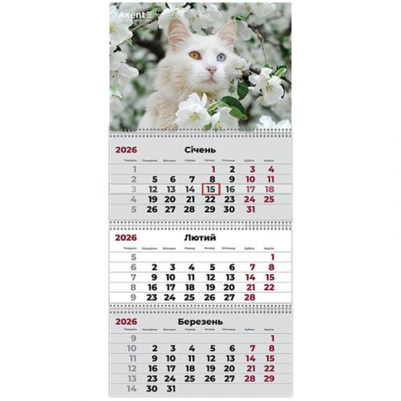 Календар настінний квартальний 2026 р.,3 пр. Cats 3