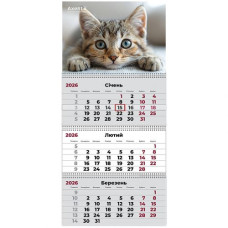 Календар настінний квартальний 2026 р.,3 пр. Cats 1