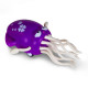 Танцюючий кальмар (восьминіг) 