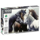 Пазли 