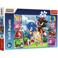 Пазли - 100 ел, 