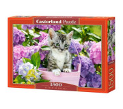 Пазли Castorland
