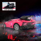 Автомобіль Spray Car на радіокеруванні  – Sport (рожевий, 1:24, туман)