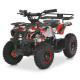 Дитячий електроквадроцикл HB-EATV800NP-3 до 65 кг