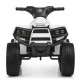 Дитячий електроквадроцикл Bambi Racer M 3893EL-1 до 20 кг