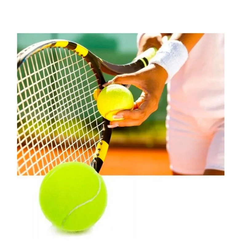 Набір м'ячів для великого тенісу SWDN Tennis Ball NE-TT-12 в чохлі 12 штук
