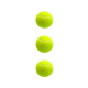 Набір м'ячів для великого тенісу SWDN Tennis Ball NE-TT-3, 3 штуки
