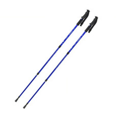 Палка для скандинавської ходьби Energia EasyFit EF-3924-BL, синя