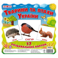 Дитячі розвиваючі картки 