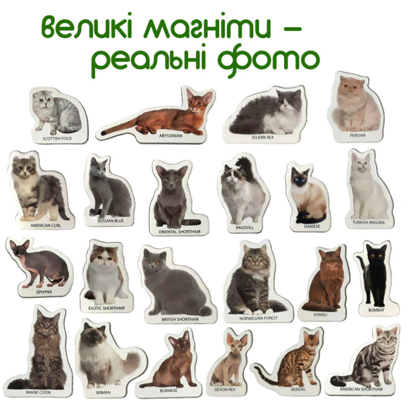 Набір магнітів Magdum 