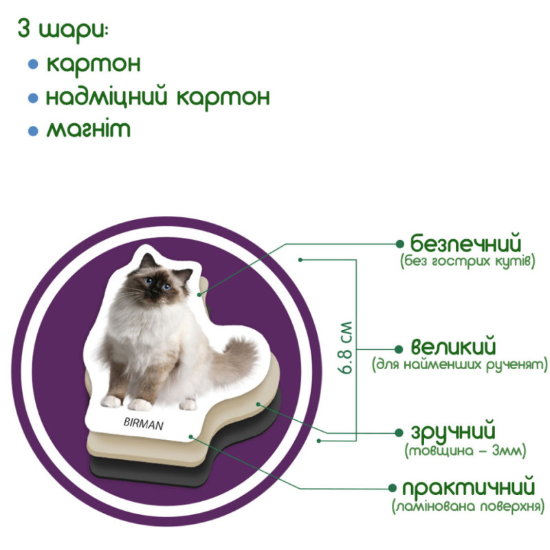 Набір магнітів Magdum 