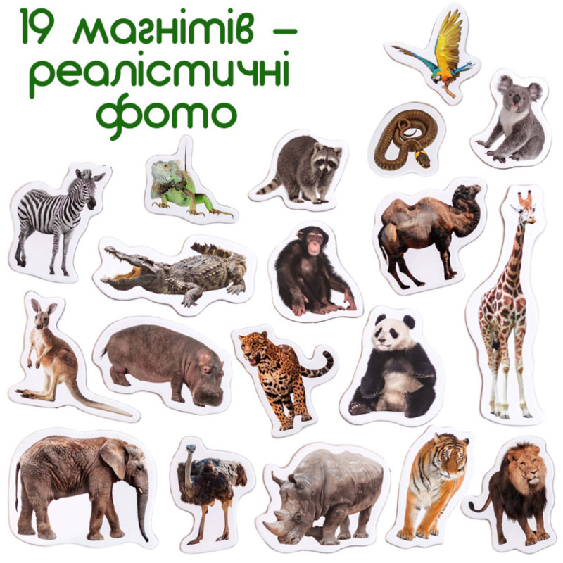 Набір магнітів Зоо 19шт ML4031-02 EN