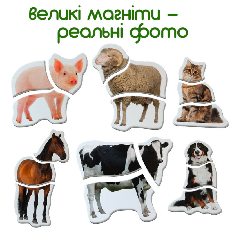 Магнітні пазли 