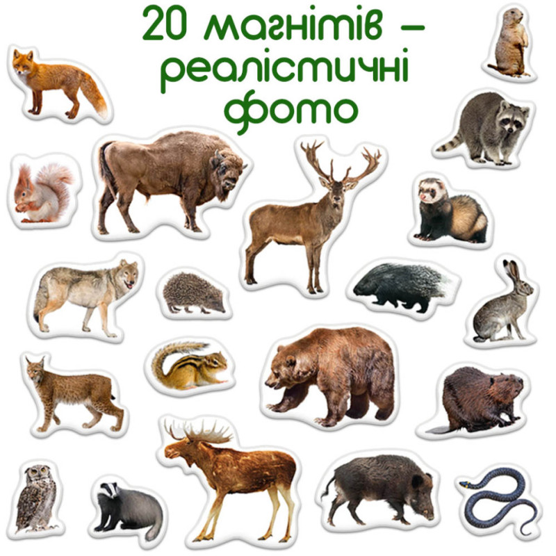 Дитячий набір магнітів Лісові мешканці фото ML4031-29 EN