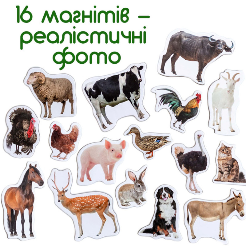 Набір магнітів 