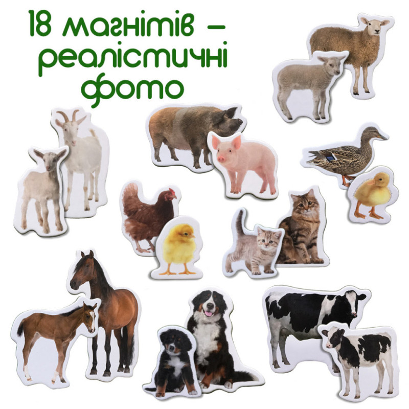 Набір магнітів 