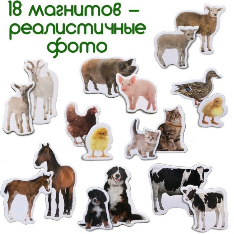 Набір магнітів Magdum 